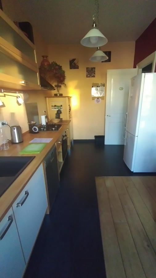 Le Grand Charpentier Apartment Мюлуз Екстериор снимка