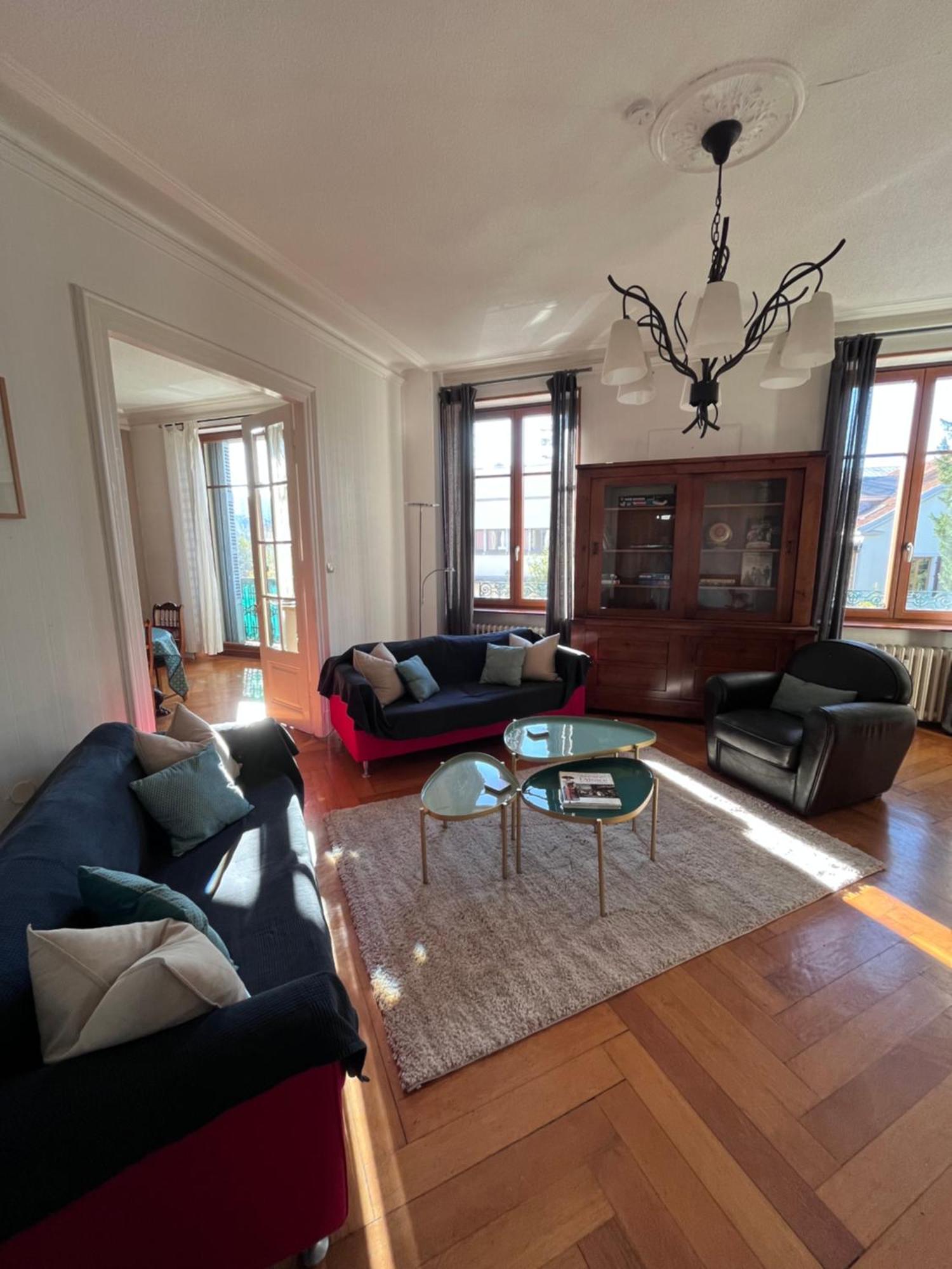 Le Grand Charpentier Apartment Мюлуз Екстериор снимка